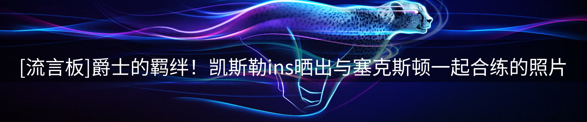 资讯动态